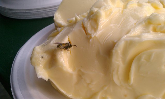 This kamikaze assault on the butter didn't hurt the butter and only got the bee killed.