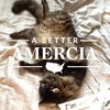 Kitty Porn, for a Better Amercia!