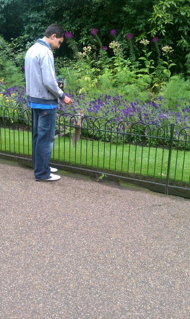 The squirrels on The Flower Walk are so tame they are begging to be eaten.