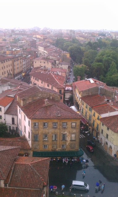 Looking south (direction of the lean) from the tower.