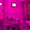 There is a room in the Pisa train station bathed in purple light. I don't know why.