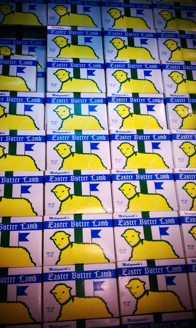 Signs of the coming holiday -- butter lambs queued up for their annual beheading.