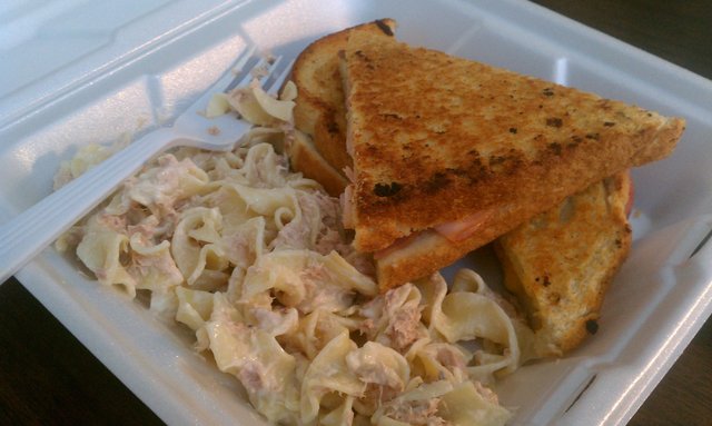 Ham & cheese panino (just a grilled cheese), tuna macaroni salad.