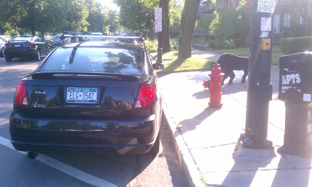 ELG 3542, blocking hydrant, Elmwood & Bidwell.