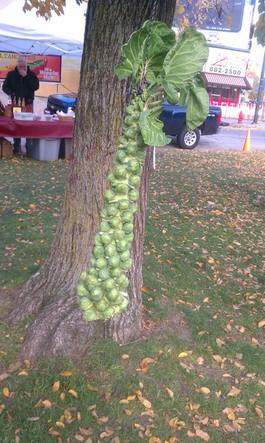 Brussels sprouts piñata.