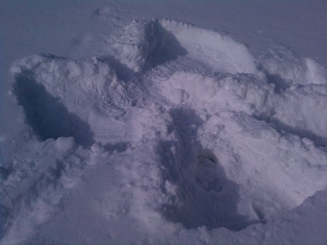 It's too bright to see if I got a shot of the snow angel.