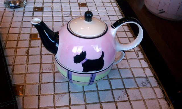 Tea from a terrier teapot for @SMCBuffalo beSOCIAL gathering.