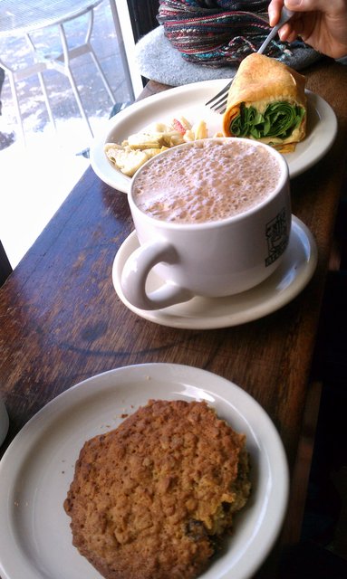 I hold back the vegan food (soy cocoa, hummus wrap, artichoke salad) with a single oatmeal cookie.