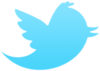 Twitter bird