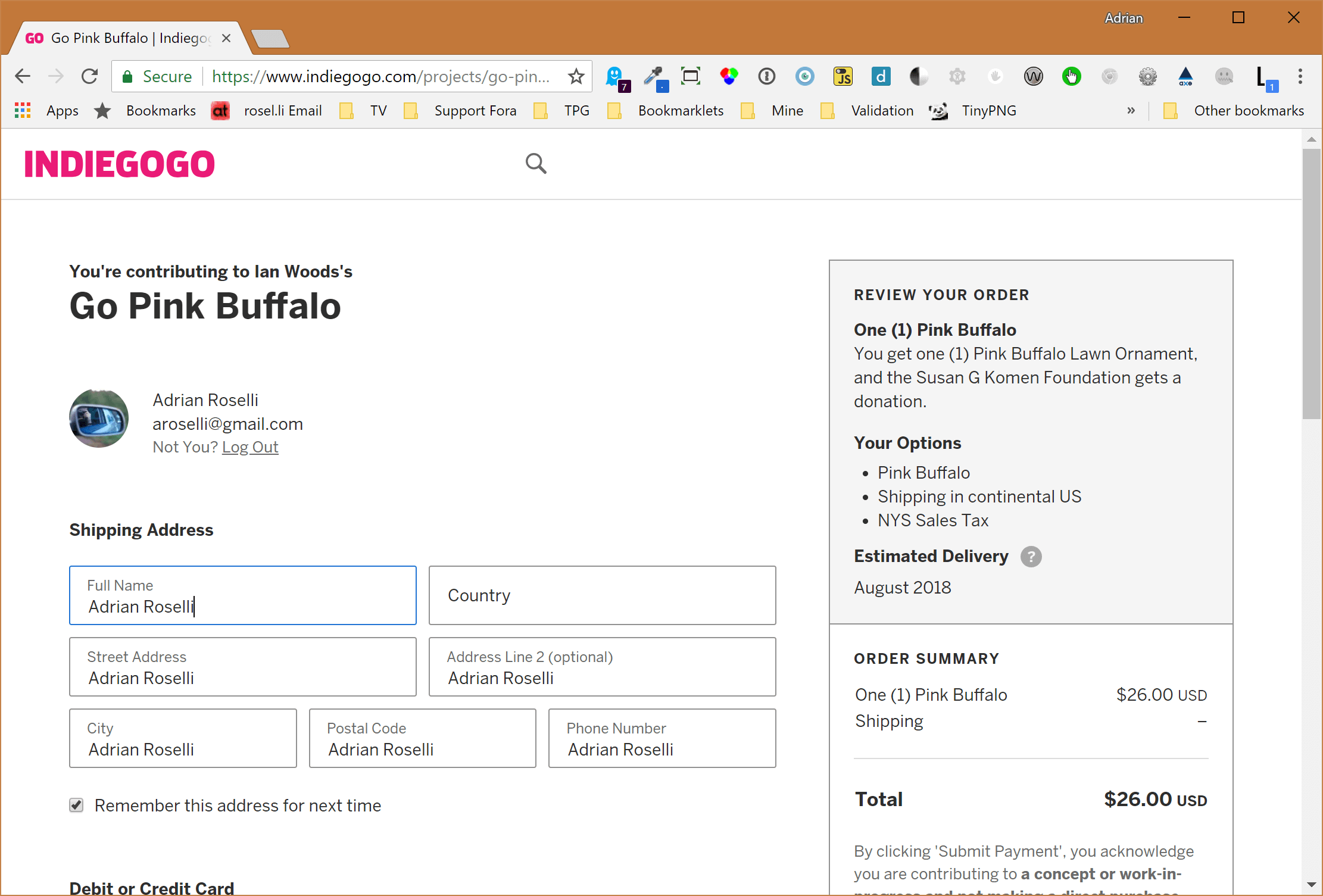 The same form, after I chose my name from the browser auto-complete options. Each separate field is filled out with my name, not my shipping address.