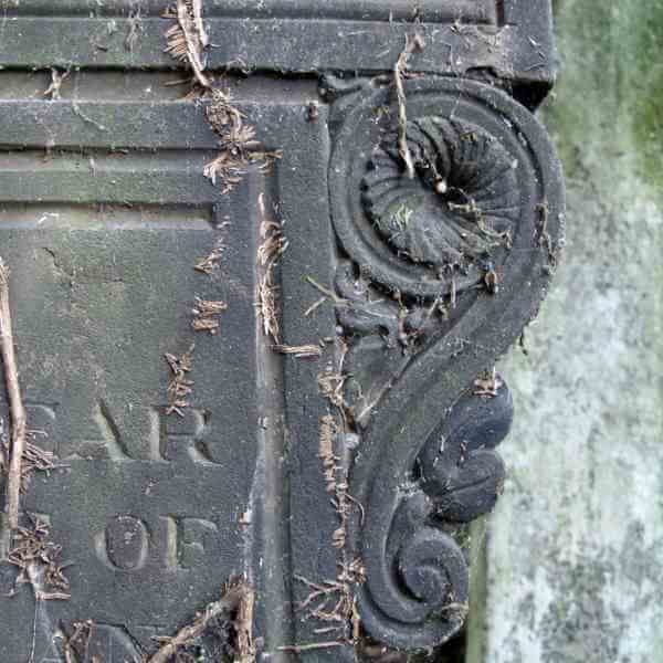 Detail of a cemetery headstone showing the scrollwork on the upper right edge, partially grown over by plants.