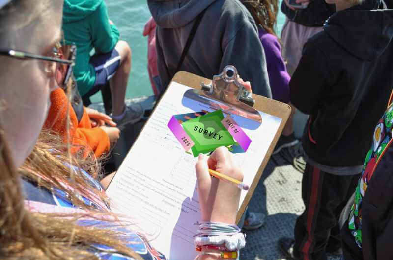 Looking over the shoulder of a woman writing on a form attached to a clipboard; the form has a giant logo that reads, “State of Survey 2025,” in a neon green diamond with purple wrappers, very much in the style of ‘State of’ survey logos.